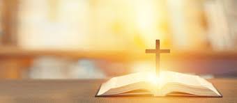 Afri Oil & Cosmetic Products eco-friendly Background